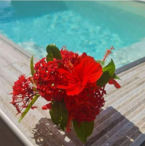 Pitaya Lodge by Lodge Paradise